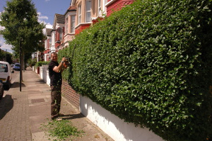 Gardening services in Green Street E13